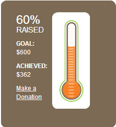 60% of my fundraising goal